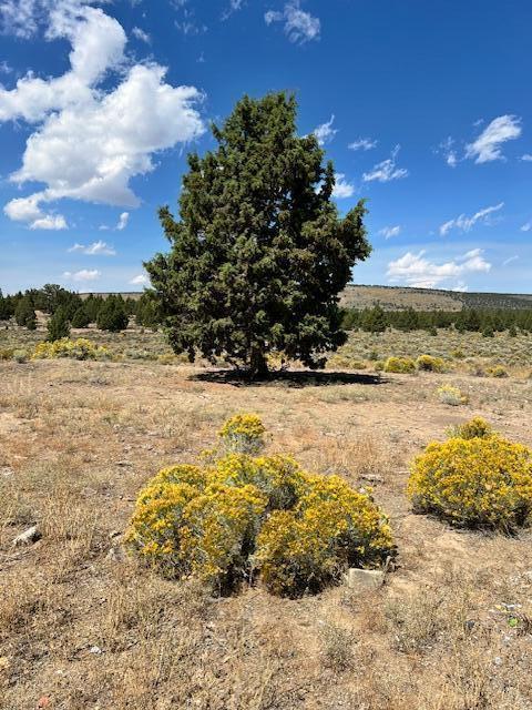 6520 Do Bend, OR 97701 - Photo 2 of 22 IMG_1805