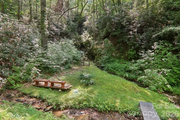 a view of a garden with a tree