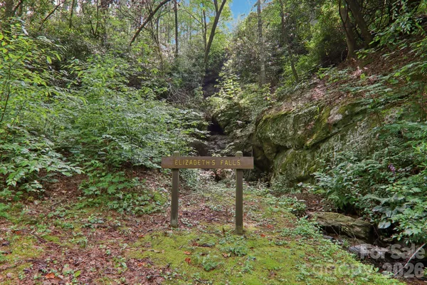 a view of a bench in a forest