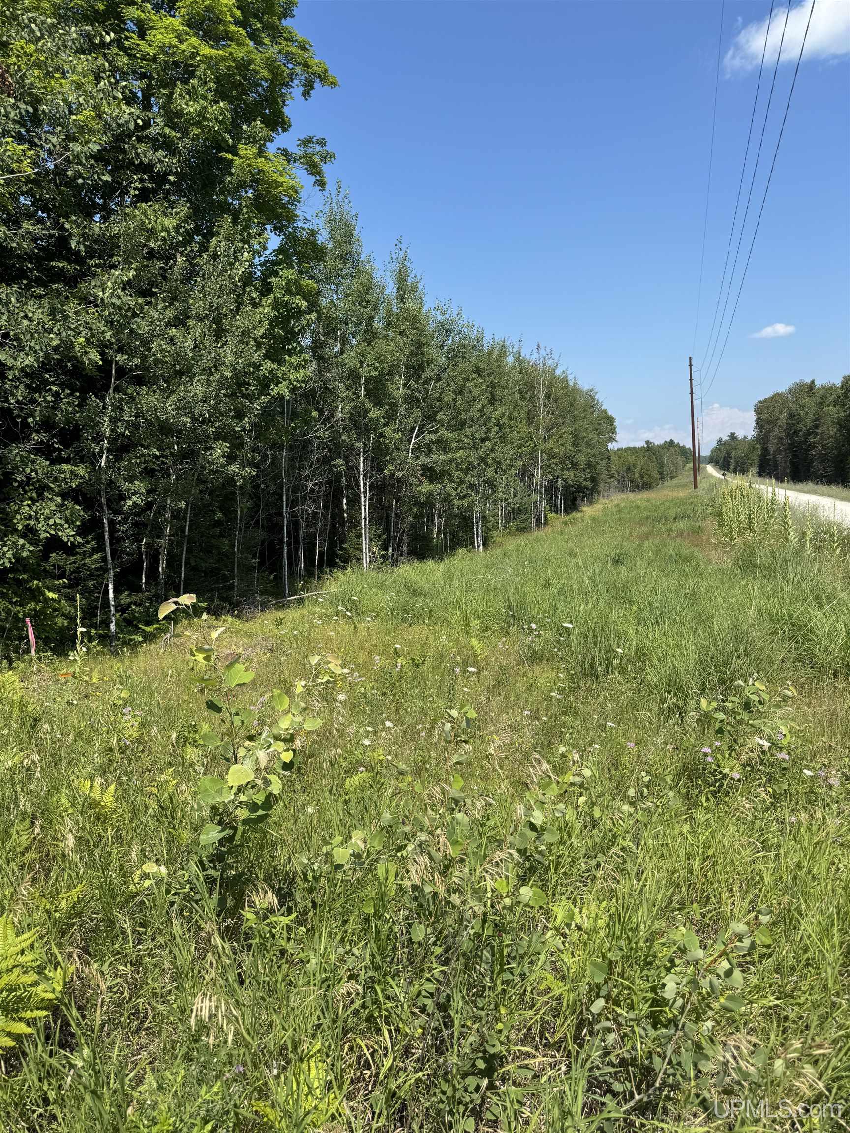 Tbd Cr 557 Road Perronville, MI 49873 - Photo 11 of 27
