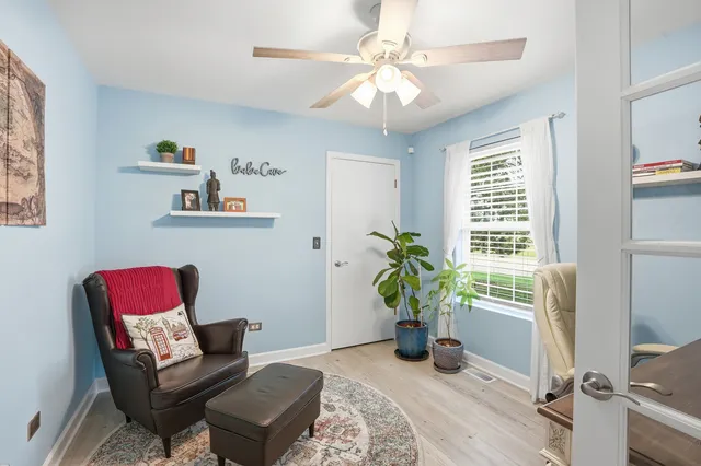 a living room with furniture and a potted plant