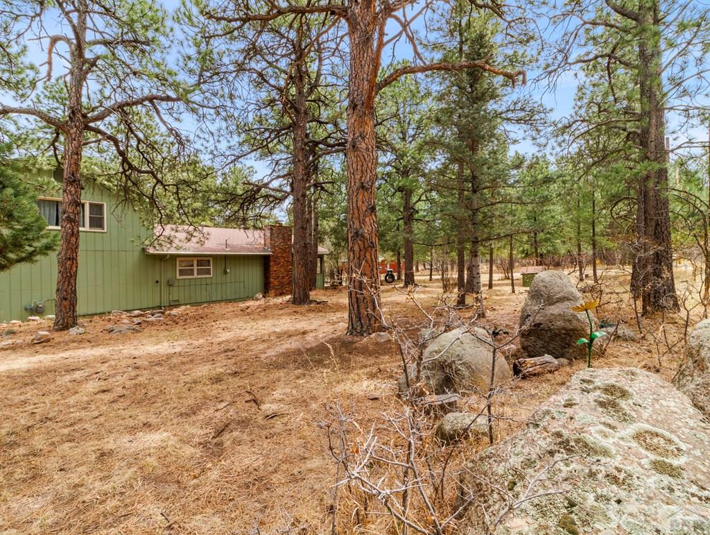 8145 Birch Drive Rye, CO 81069 - Photo 6 of 44