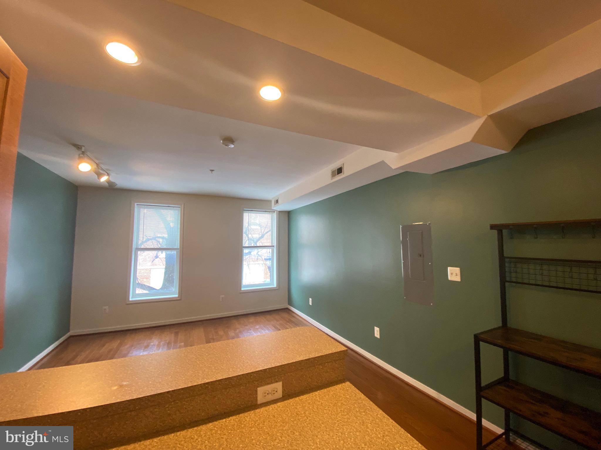 910 South Charles Street, Unit A Baltimore, MD 21230 - Photo 11 of 47 Updated Living Accent Color - 26'