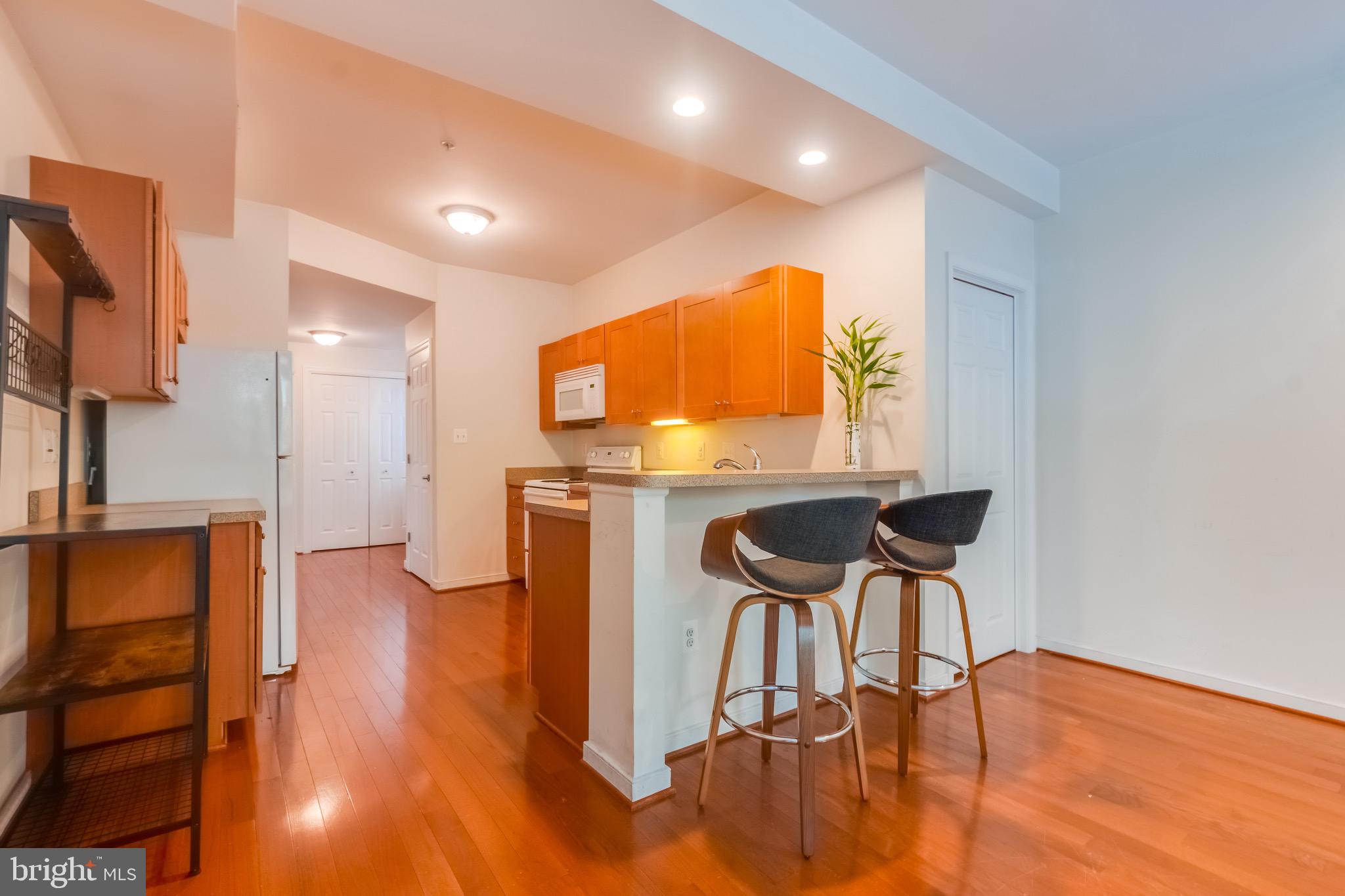 910 South Charles Street, Unit A Baltimore, MD 21230 - Photo 2 of 43 Kitchen