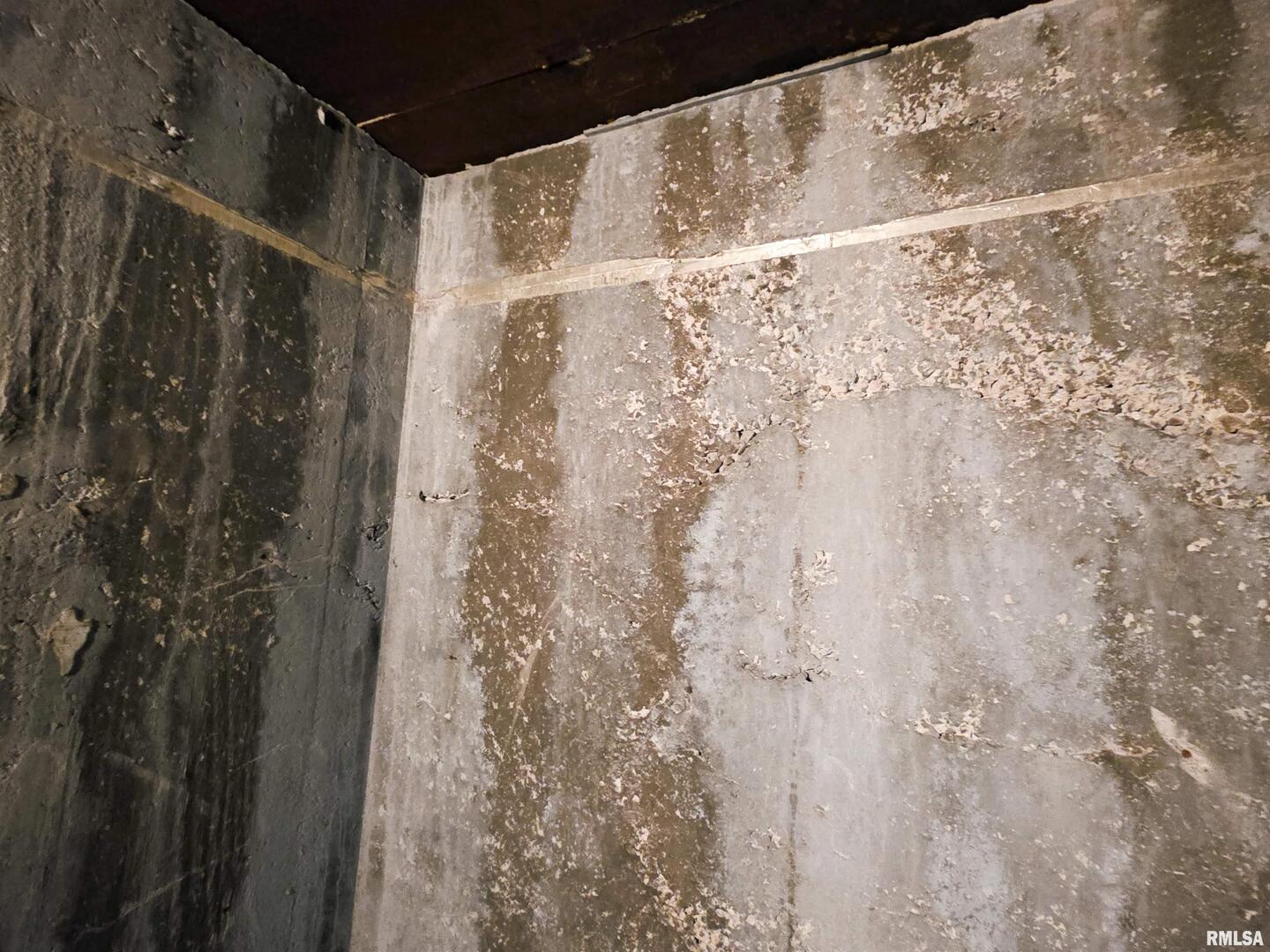 103 Watkins Street Cisne, IL 62823 - Photo 13 of 85