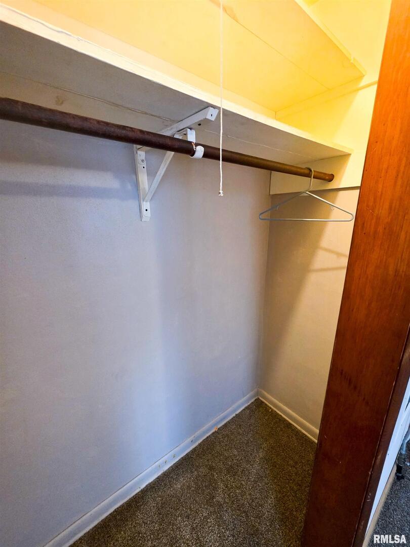 103 Watkins Street Cisne, IL 62823 - Photo 57 of 85