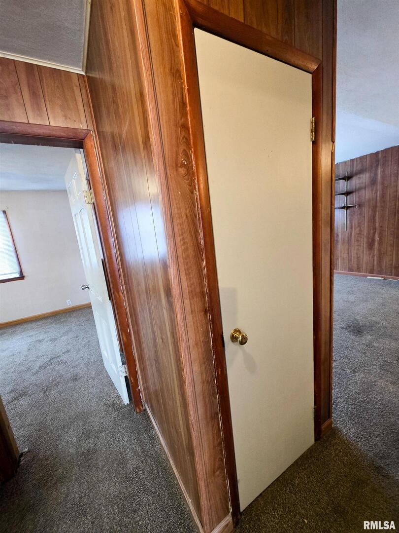 103 Watkins Street Cisne, IL 62823 - Photo 65 of 85 a view of a closet from a window