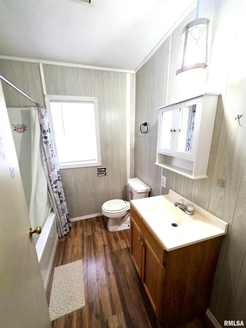 103 Watkins Street Cisne, IL 62823 - Photo 67 of 85 a bathroom with a sink mirror vanity and toilet