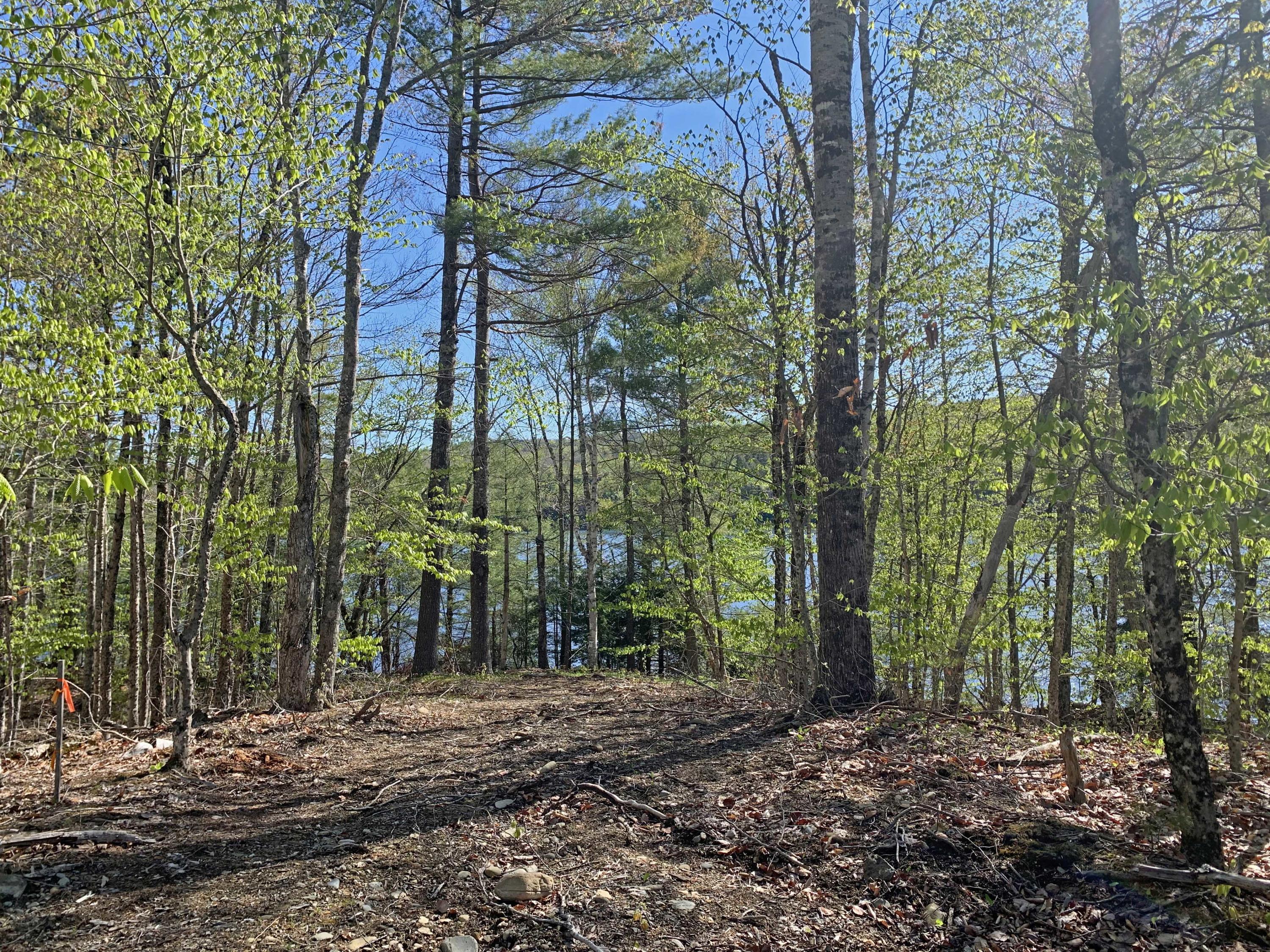 260 Springy Pond Road Clifton, ME 04428 - Photo 5 of 13 2a