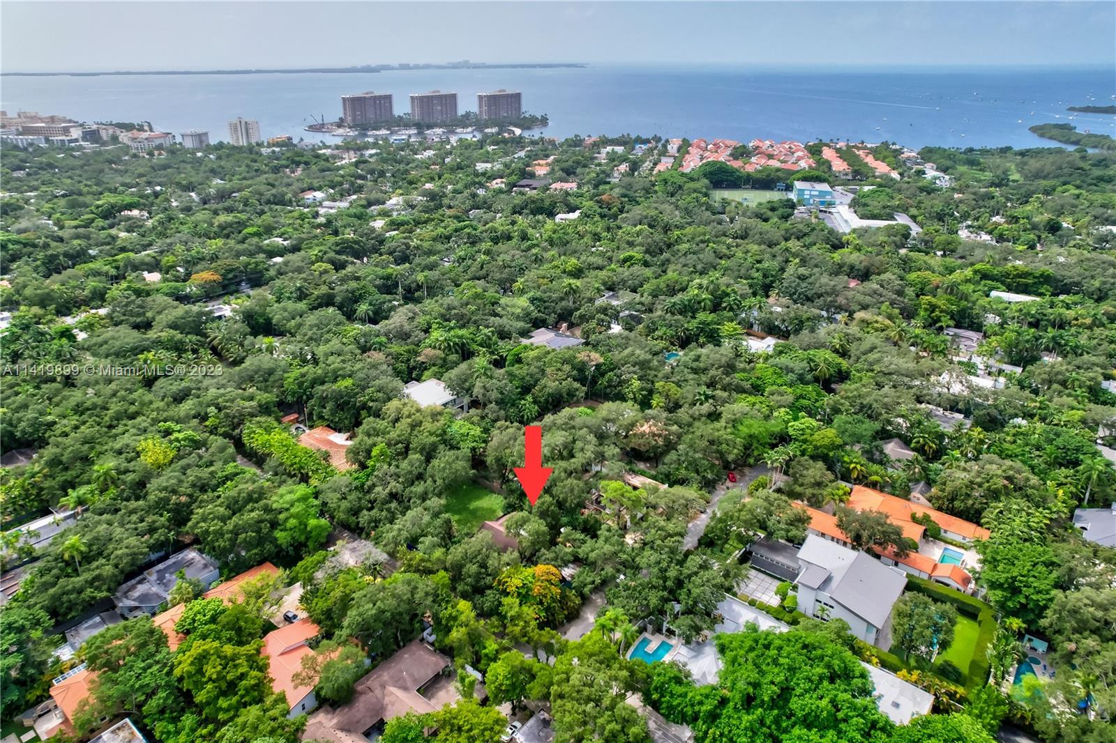 2801 Emathla Street Miami, FL 33133 - Photo 16 of 16 a view of a city with lush green forest