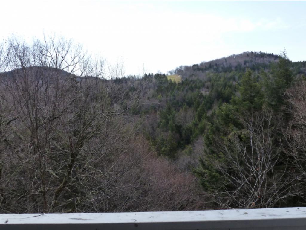 18 Bridges, Unit 18 Warren, VT 05674 - Photo 13 of 14 Gallery Image 13