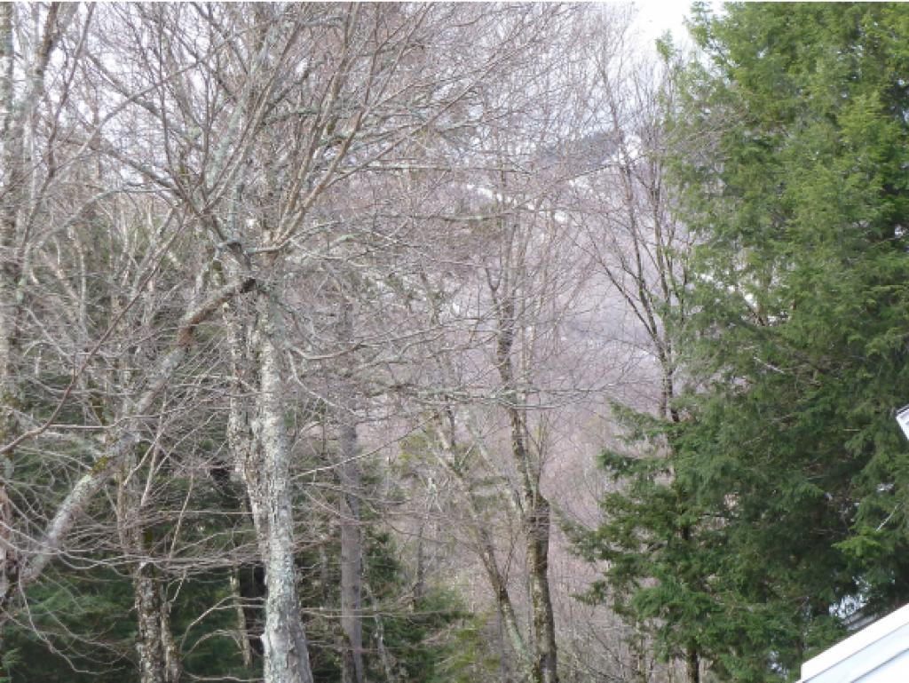 18 Bridges, Unit 18 Warren, VT 05674 - Photo 14 of 14 Gallery Image 14