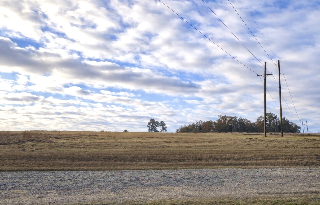 Lot 14 Charleston Street Trinity, TX 75862 - Photo 2 of 7
