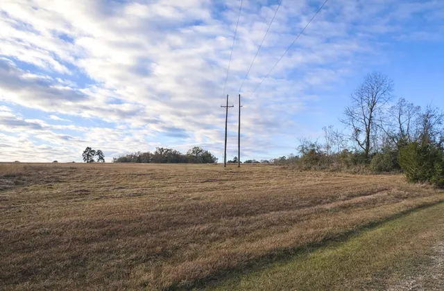 $14,500 | Lot 14 Charleston Street, Trinity, TX 75862