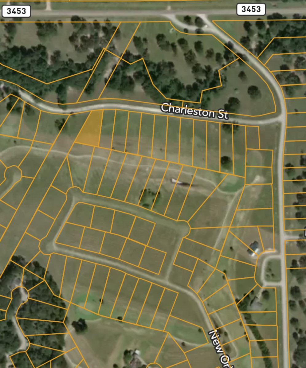 Lot 14 Charleston Street Trinity, TX 75862 - Photo 4 of 7