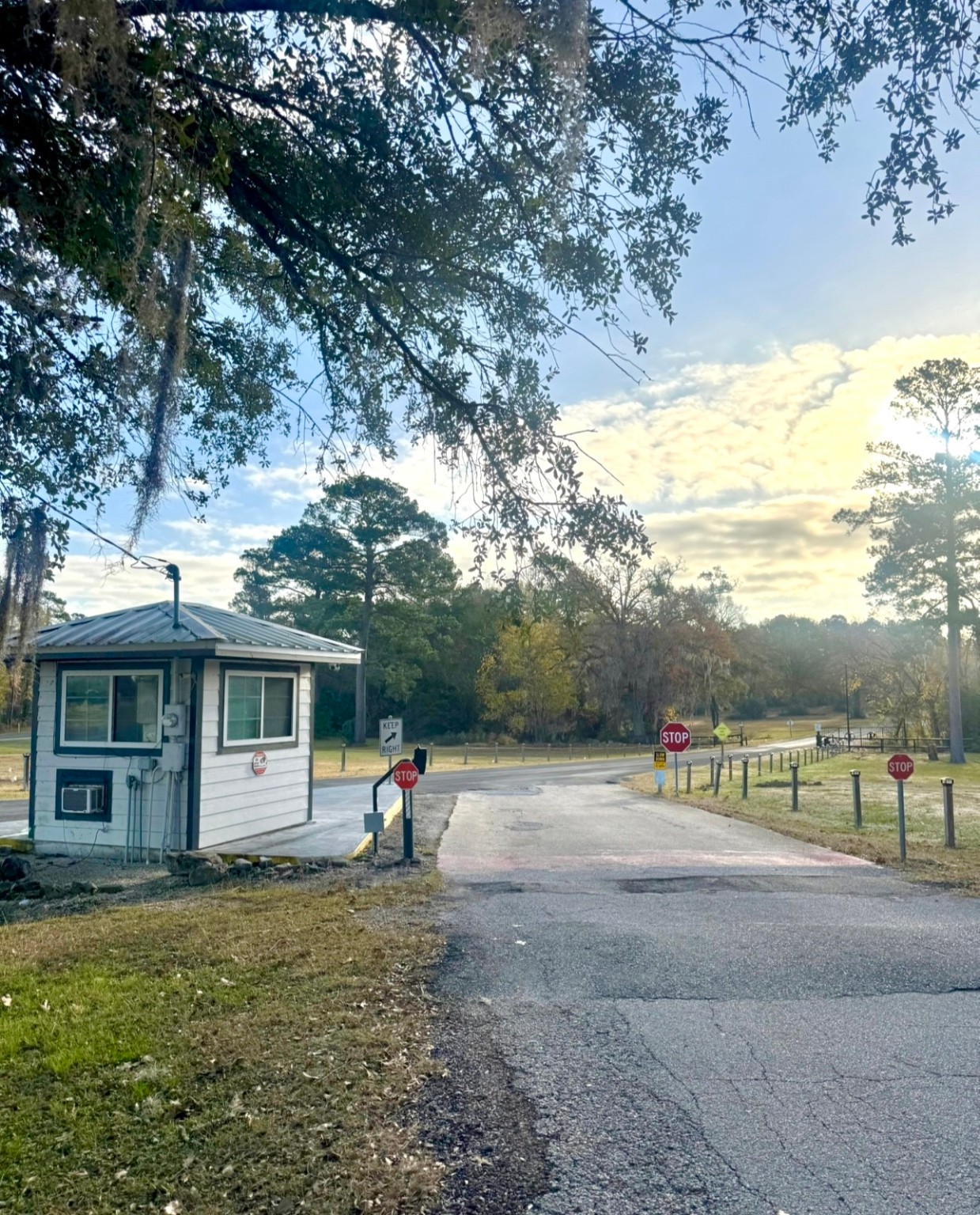 Lot 14 Charleston Street Trinity, TX 75862 - Photo 6 of 7