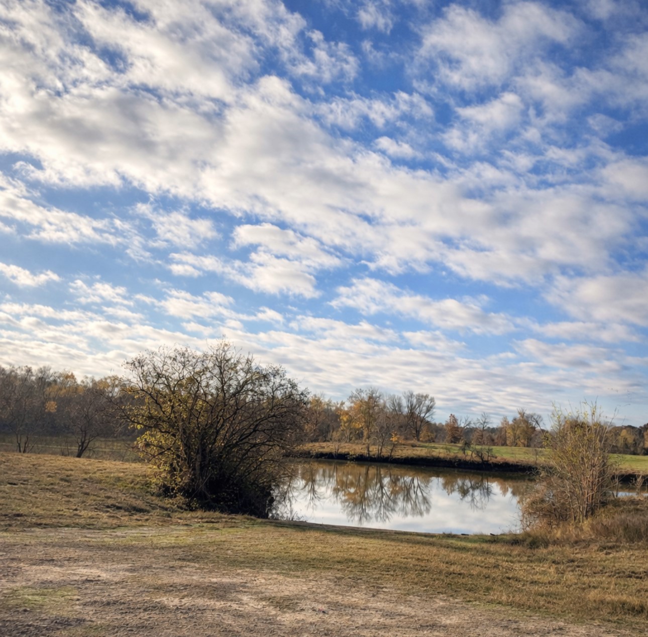 Lot 14 Charleston Street Trinity, TX 75862 - Photo 7 of 7