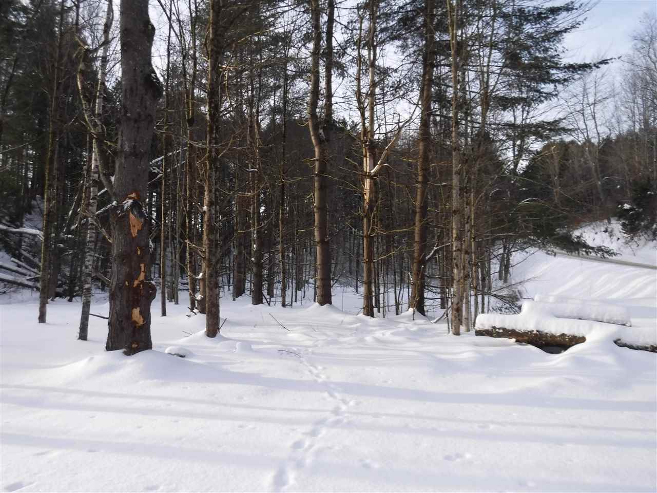 Tbd Barnes Hill Road Stowe, VT 05672 - Photo 11 of 11