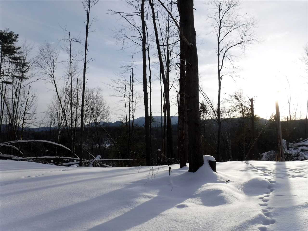 Tbd Barnes Hill Road Stowe, VT 05672 - Photo 3 of 11