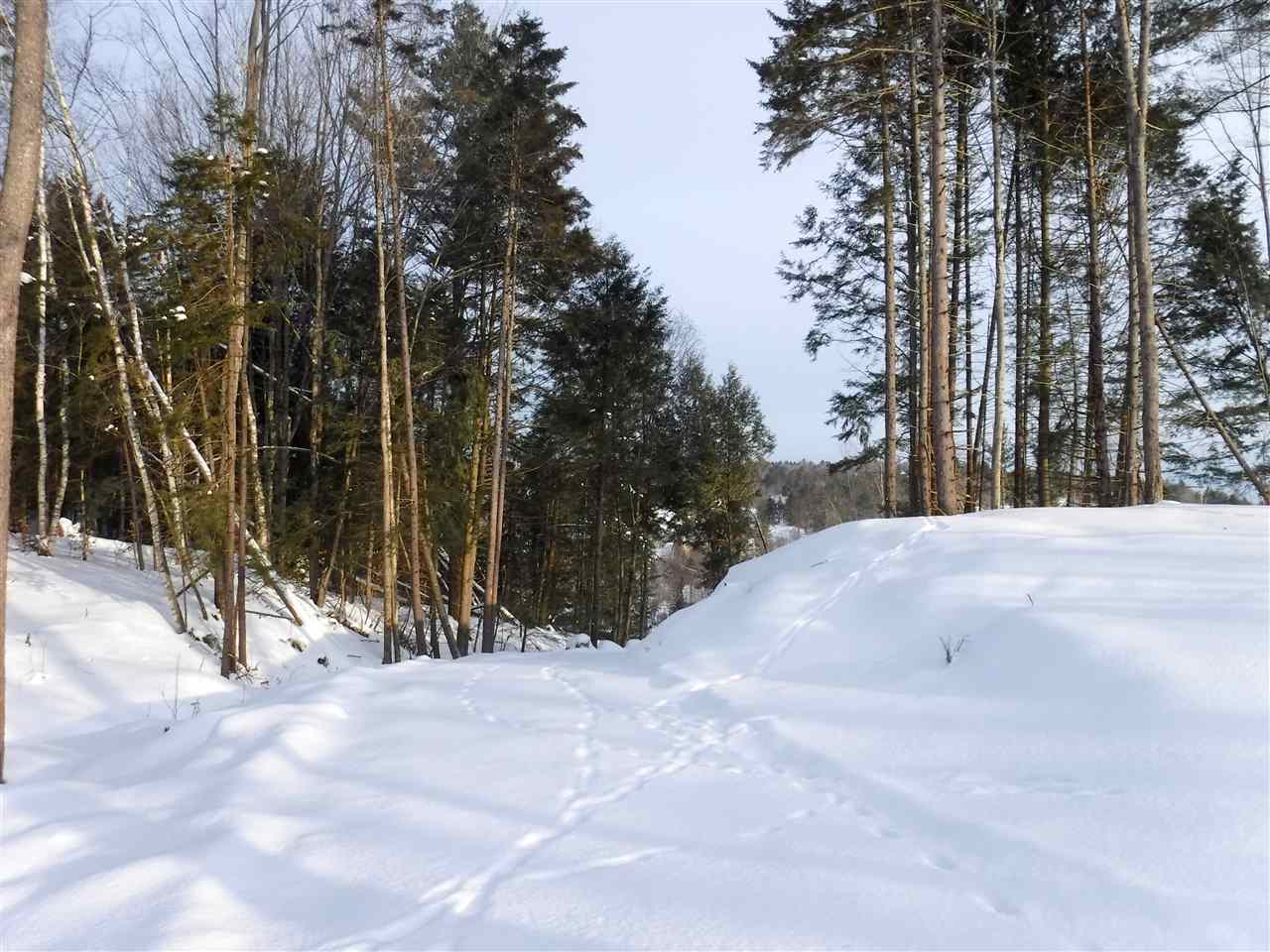 Tbd Barnes Hill Road Stowe, VT 05672 - Photo 4 of 11