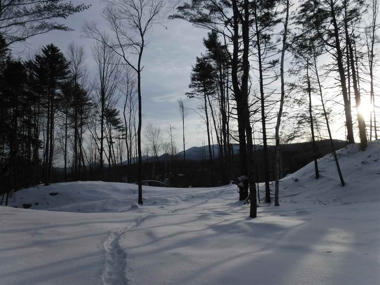 Tbd Barnes Hill Road Stowe, VT 05672 - Photo 8 of 11