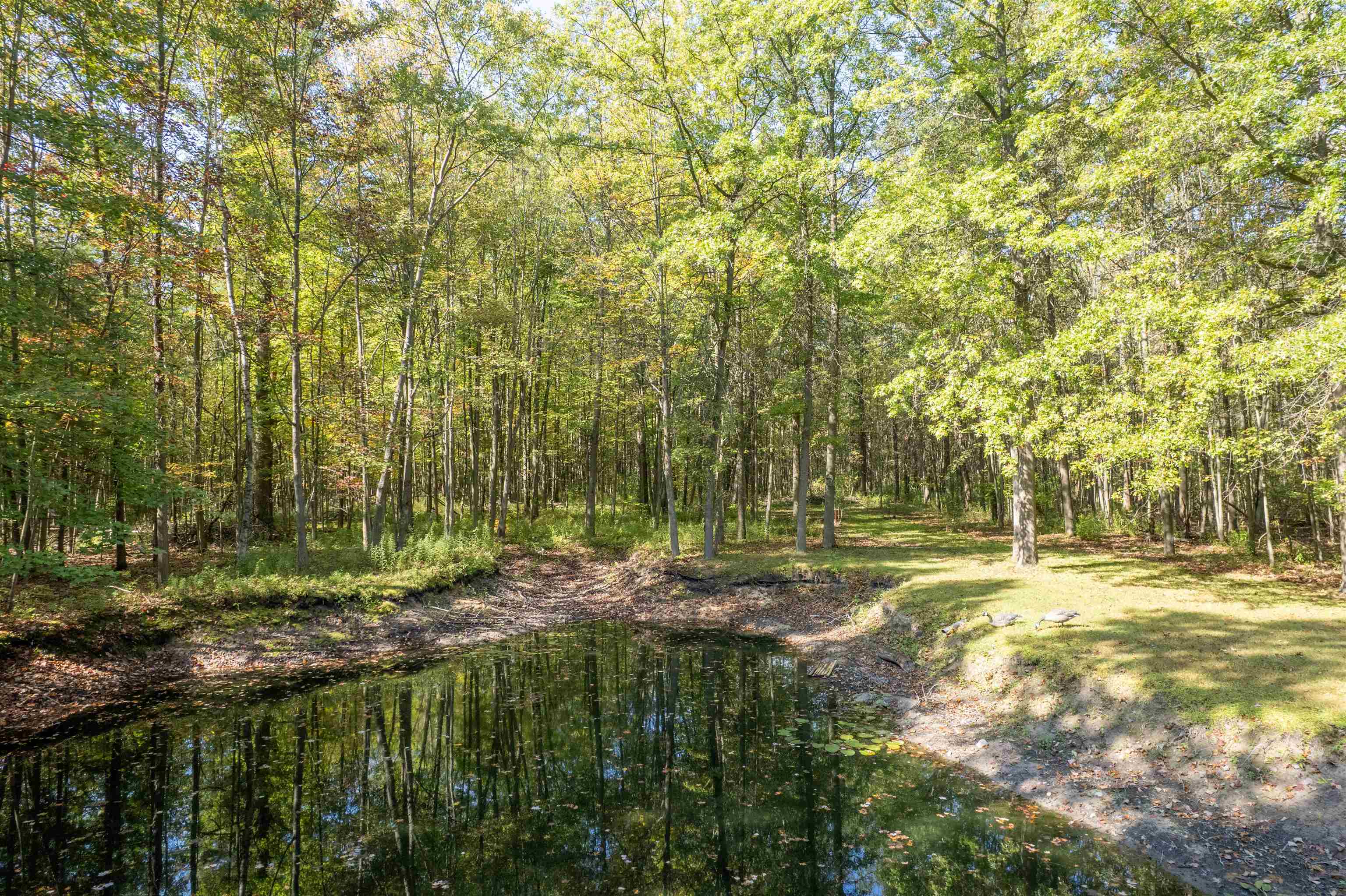 2554 South Fordney Road Hemlock, MI 48626 - Photo 83 of 88