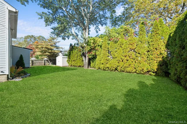 a view of a garden with a tree