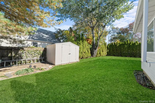 a view of a backyard with a small cabin