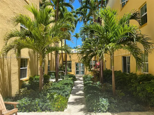 a view of path along with potted plants and palm trees