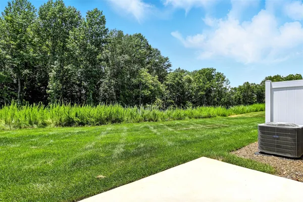 a view of a back yard