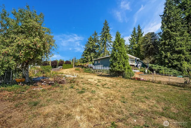 a view of backyard of the house
