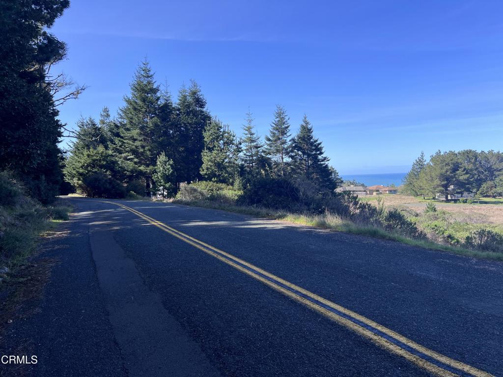 15301 Forest View Road Manchester, CA 95459 - Photo 4 of 6 a view of an outdoor space and a yard