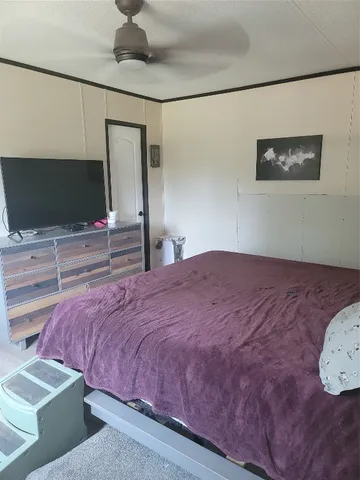 a view of a yard with plants and a bench