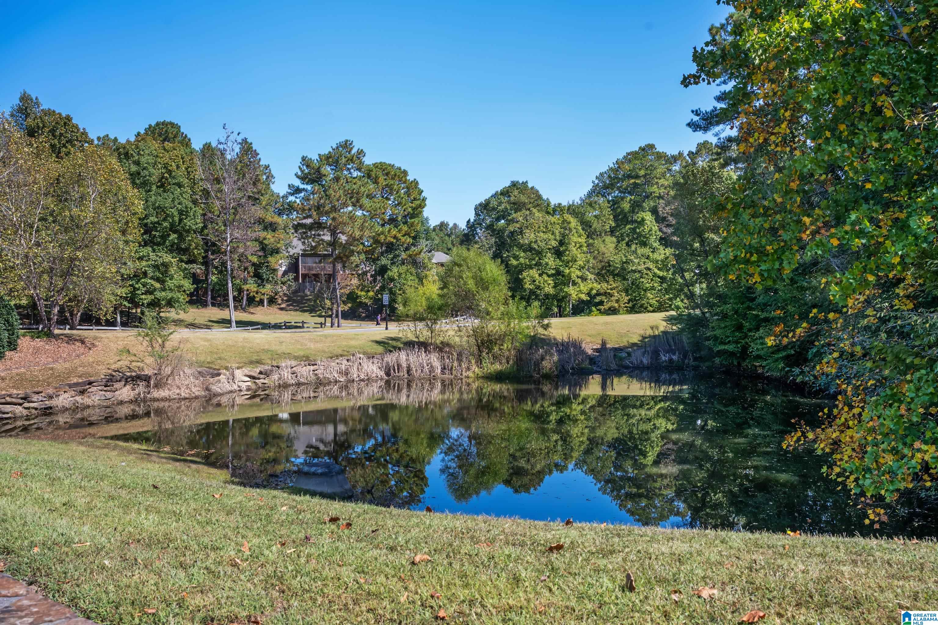 193 River Valley Road Helena, AL 35080 - Photo 49 of 49