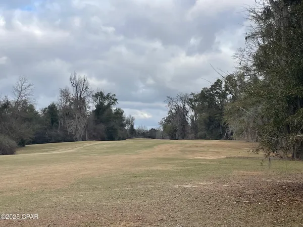 $44,900 | Lot 22 Oak Drive, Marianna, FL 32446