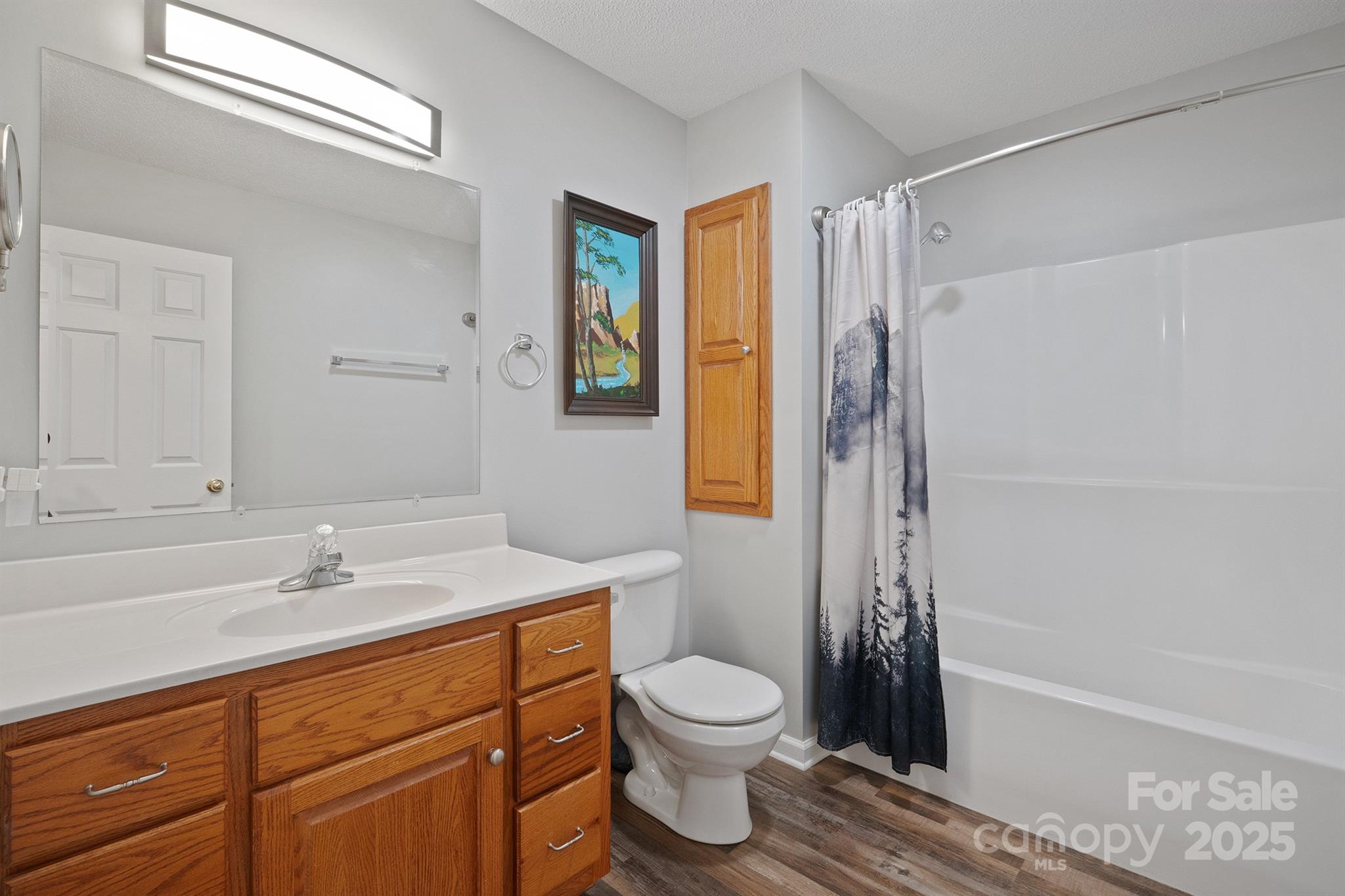 2714 Mauser Drive Newton, NC 28658 - Photo 26 of 38 a bathroom with a sink a toilet and shower