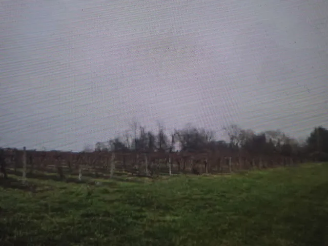 $325,000 | V/l Lauren Lane, St. Joseph, MI 49085