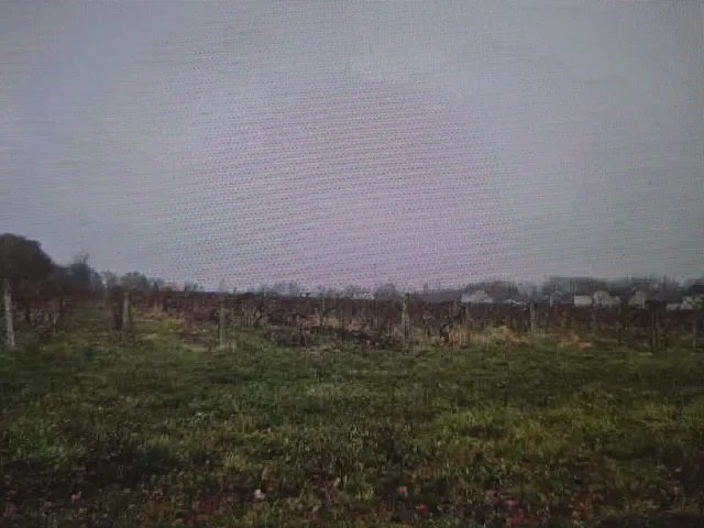 $325,000 | V/l Lauren Lane, St. Joseph, MI 49085