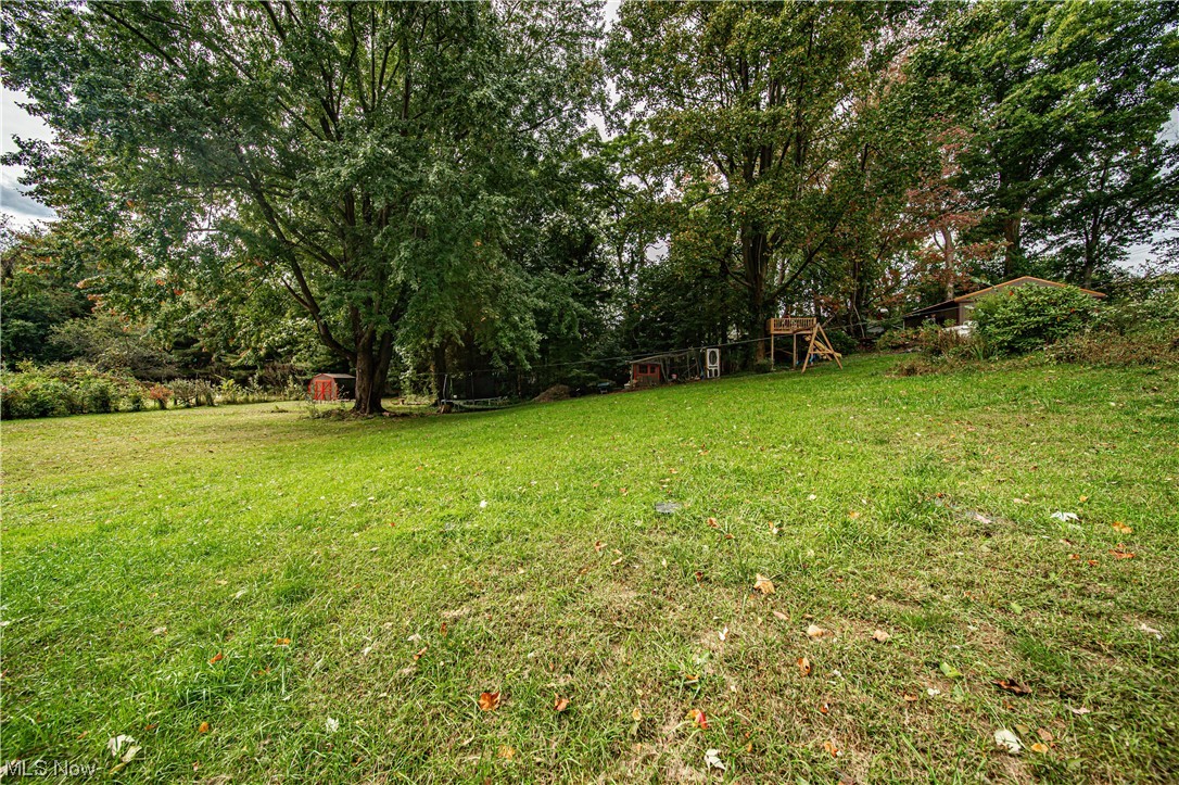 5258 North Ridge Road Madison, OH 44057 - Photo 30 of 35 View of yard