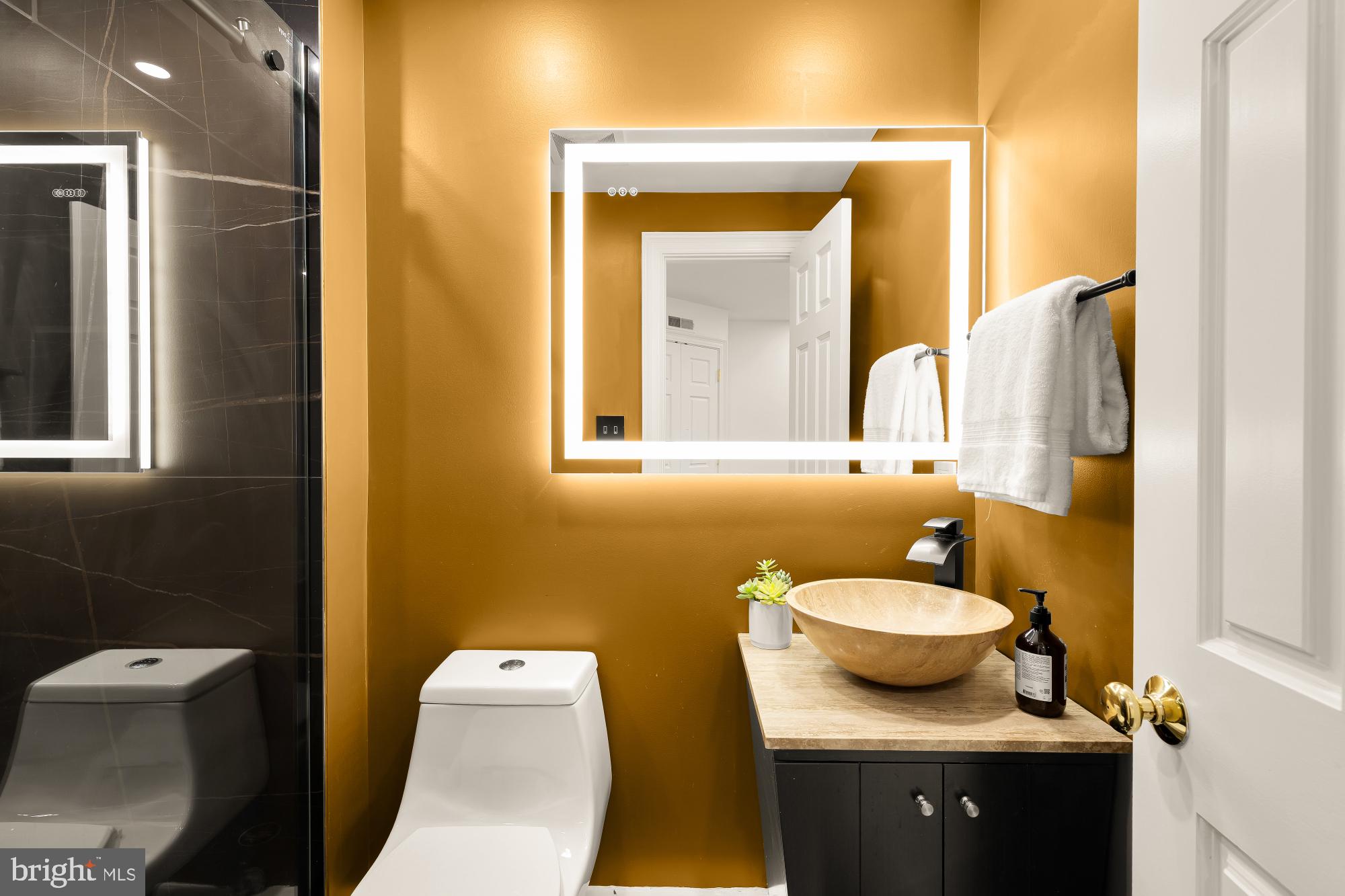 3249 P Street Northwest Washington, DC 20007 - Photo 59 of 63 a bathroom with a sink and a mirror