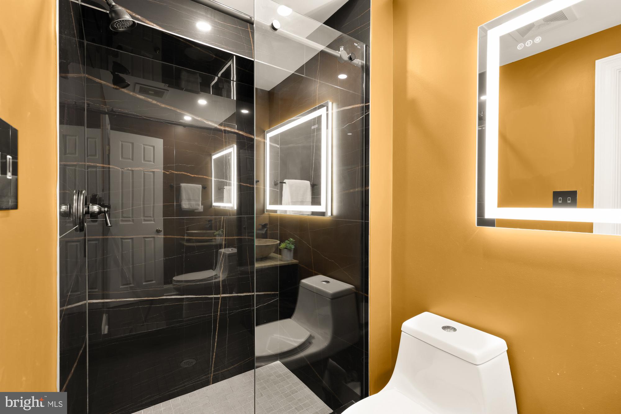 3249 P Street Northwest Washington, DC 20007 - Photo 60 of 63 a bathroom with a toilet and a shower
