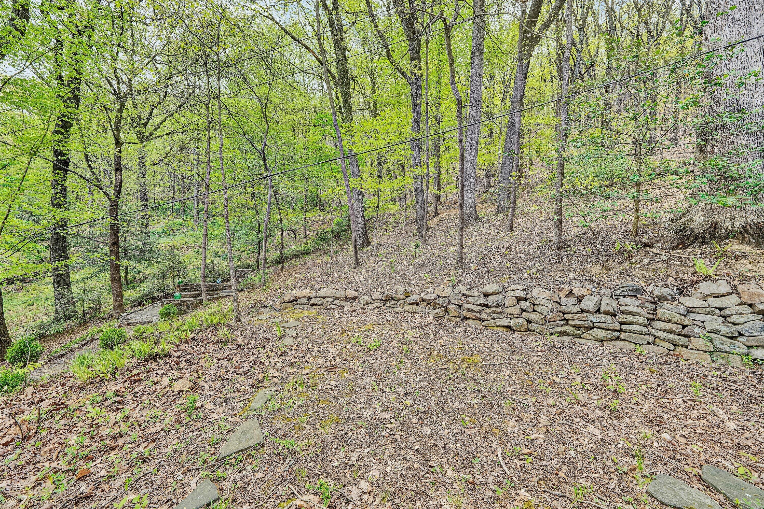 2438 Robin Hood Road Southeast Roanoke, VA 24014 - Photo 77 of 81 77-DSC00313