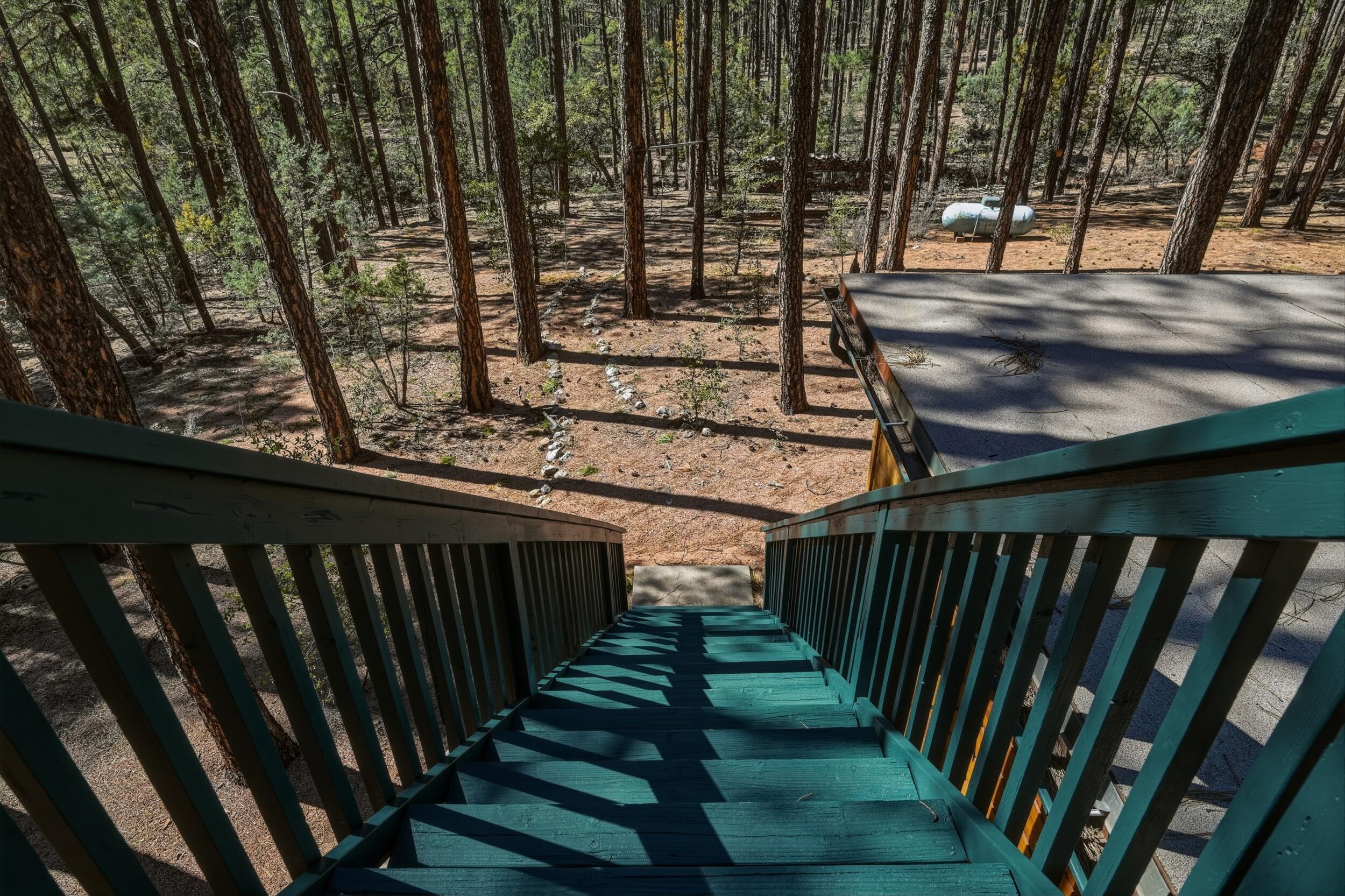 183 West Raven Road Payson, AZ 85541 - Photo 48 of 70 21_nkn_7167