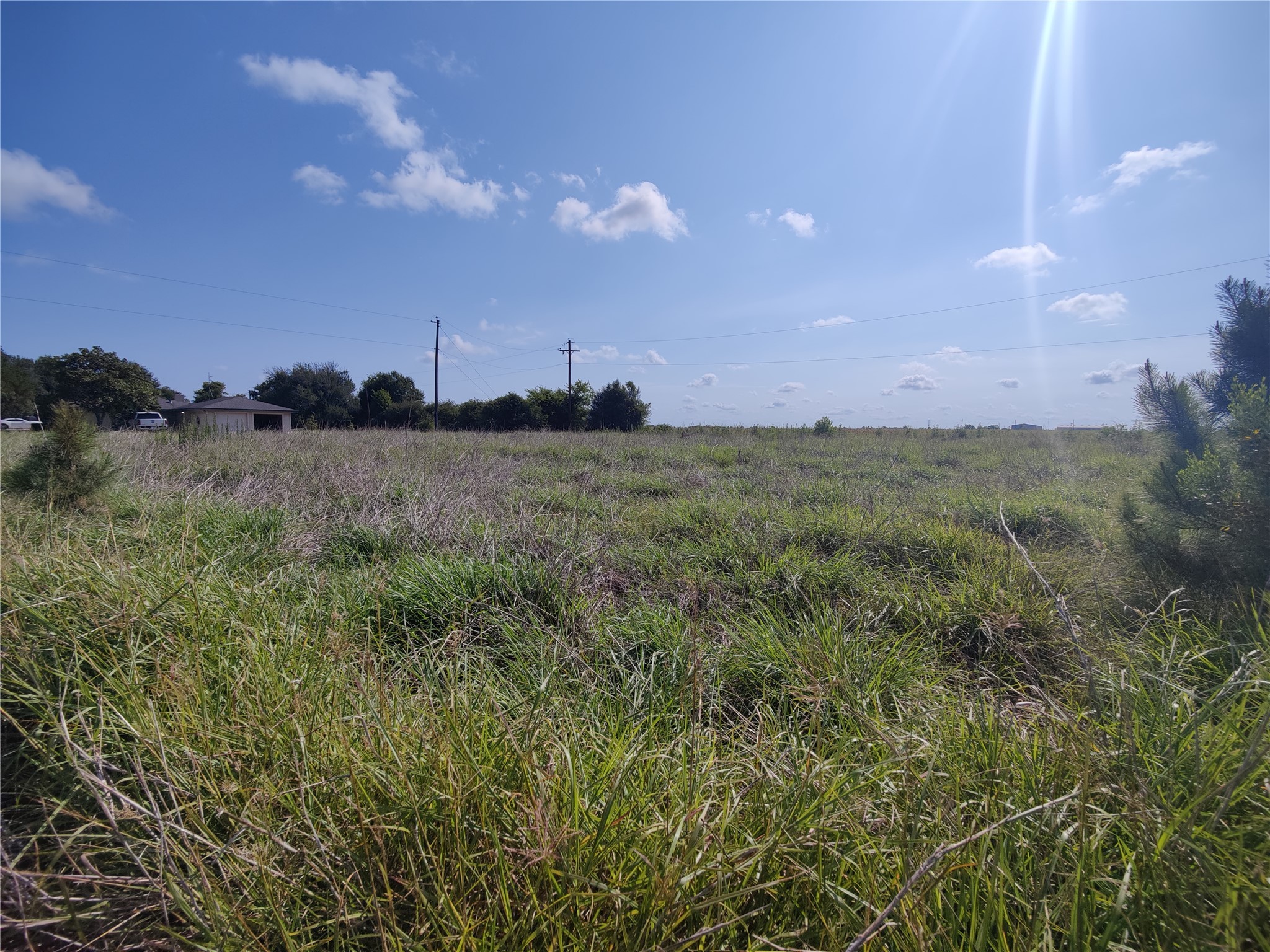 20699 Ruby Street Prairie View, TX 77484 - Photo 3 of 4 a view of a field and trees