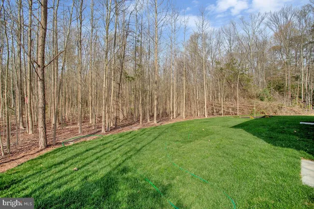 a view of a yard with wooden fence