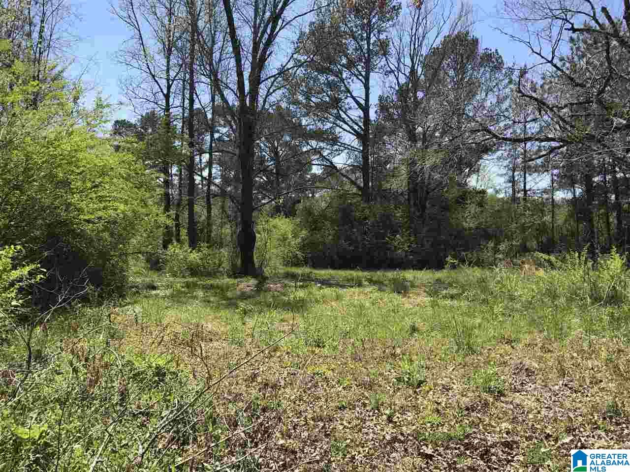 4133 Roy Webb Road, Unit 1 Jacksonville, AL 36265 - Photo 14 of 40