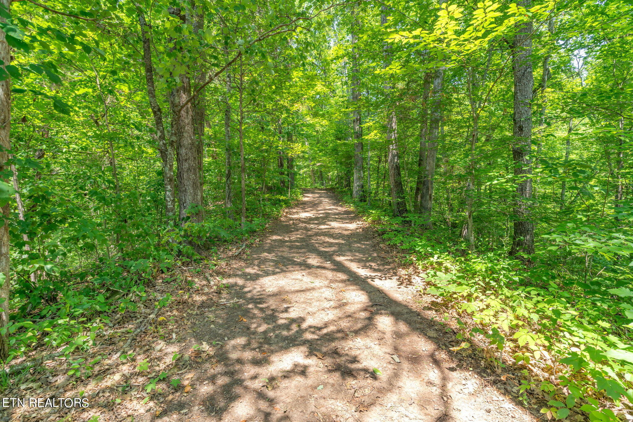 304 Comb Ridge Road Maynardville, TN 37807 - Photo 52 of 57 53-web-or-mls-304 Comb Ridge Road-54