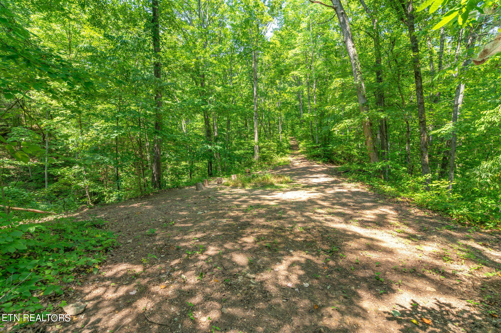 304 Comb Ridge Road Maynardville, TN 37807 - Photo 53 of 57 54-web-or-mls-304 Comb Ridge Road-55