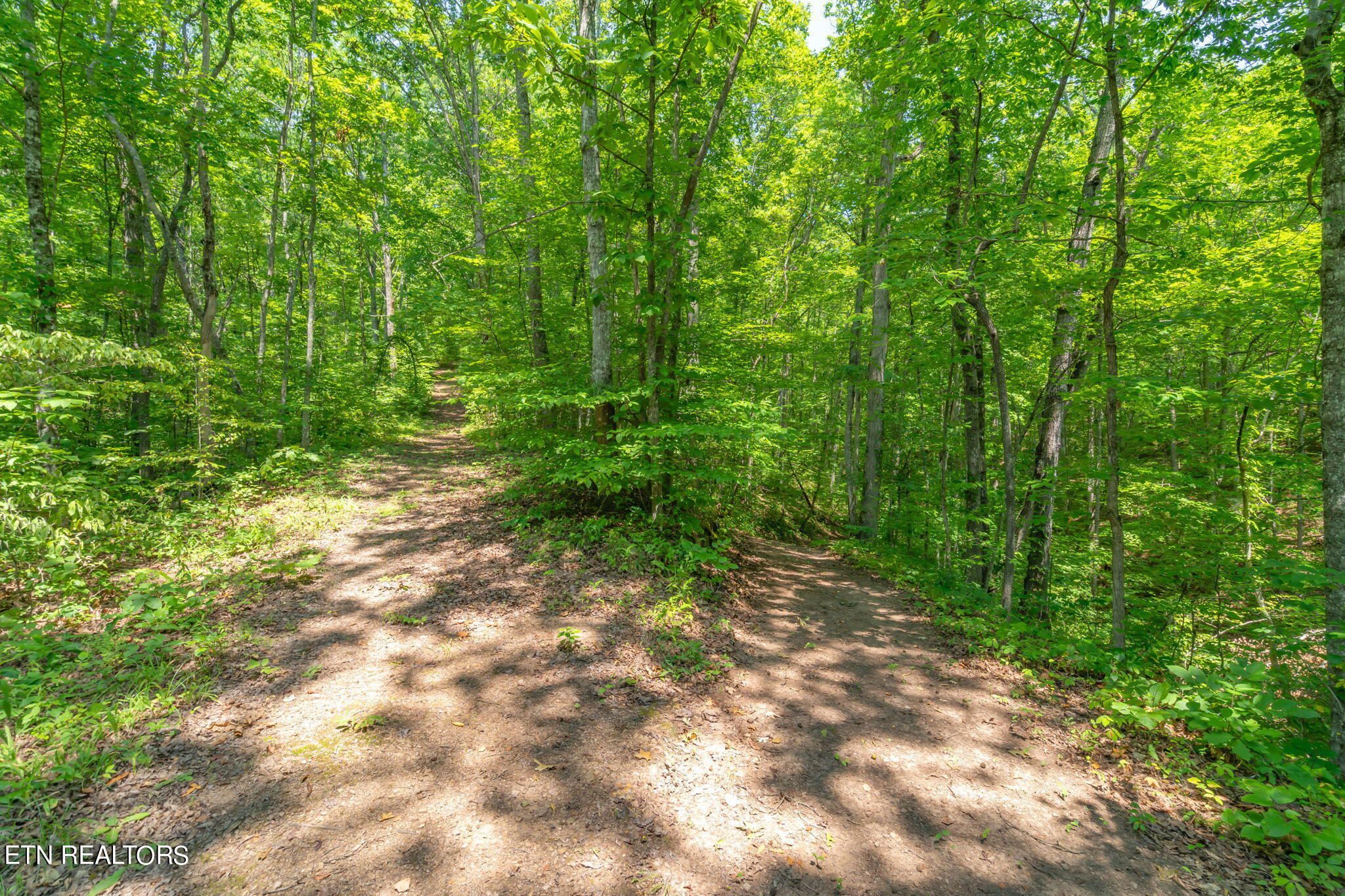 304 Comb Ridge Road Maynardville, TN 37807 - Photo 54 of 57 55-web-or-mls-304 Comb Ridge Road-56