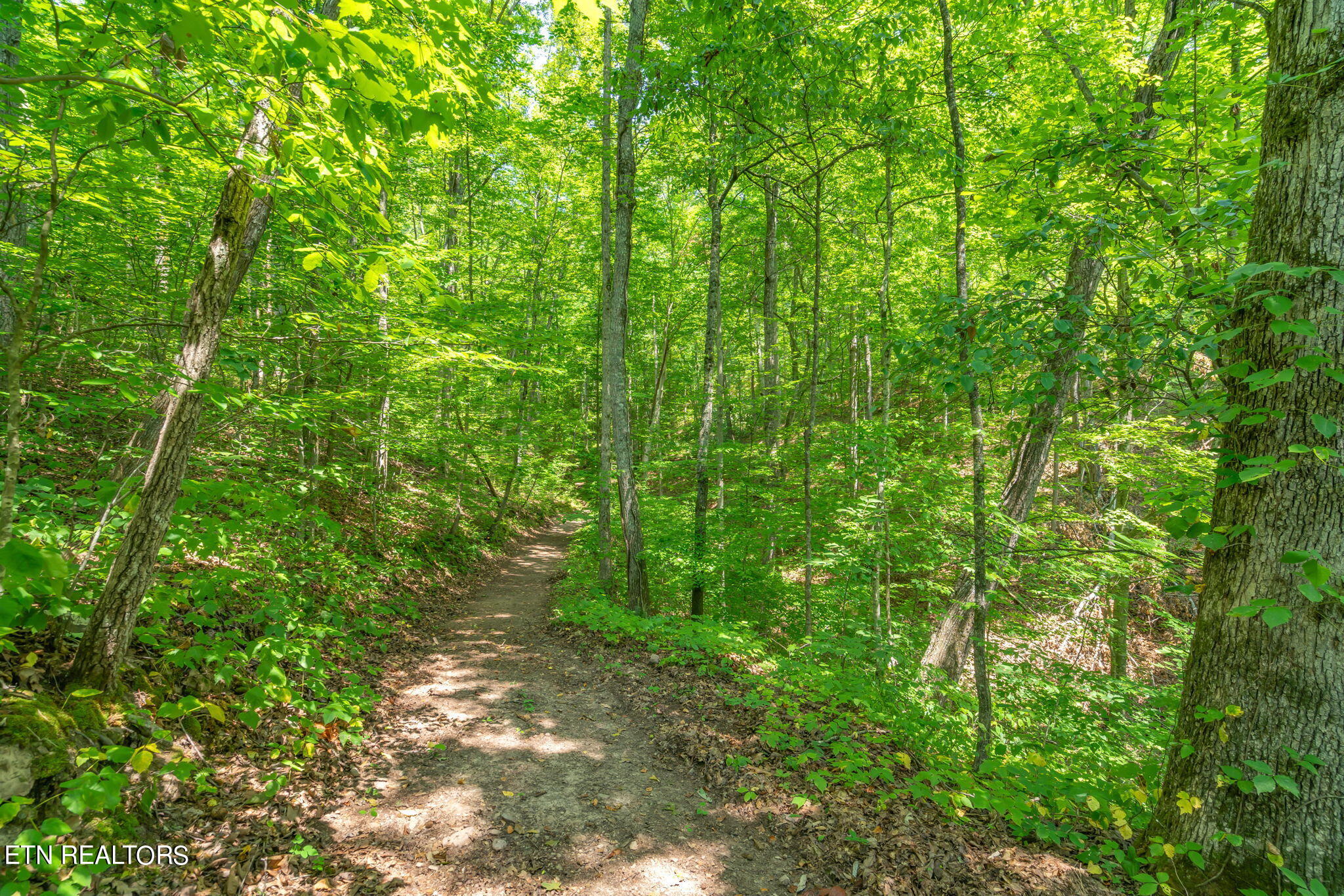304 Comb Ridge Road Maynardville, TN 37807 - Photo 55 of 57 56-web-or-mls-304 Comb Ridge Road-57